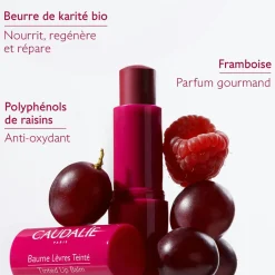 CAUDALIE Formats Voyage|Soins Yeux & Lèvres^Baume Lèvres Teinté