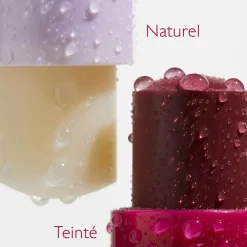CAUDALIE Formats Voyage|Soins Yeux & Lèvres^Baume Lèvres Teinté
