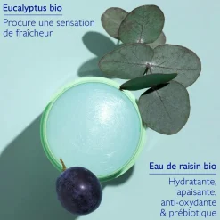 CAUDALIE Déodorant^Déodorant Stick Naturel Vinofresh
