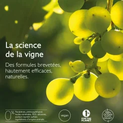 CAUDALIE Rides, Taches, Volume|Anti-Rides, Fermeté^La Crème Anti-Âge Global - Recharge