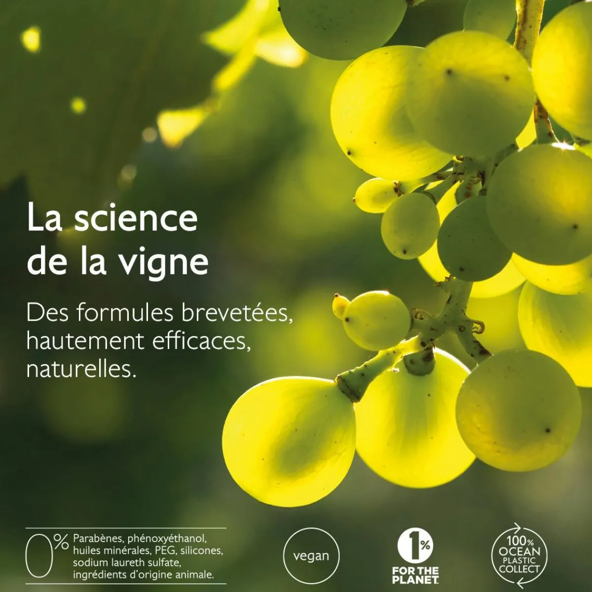 CAUDALIE Rides, Taches, Volume|Anti-Rides, Fermeté^La Crème au Brevet Longévité & filler repulpant naturel