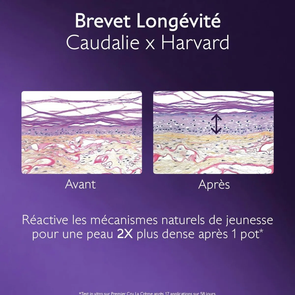 CAUDALIE Rides, Taches, Volume|Anti-Rides, Fermeté^La Crème au Brevet Longévité & filler repulpant naturel