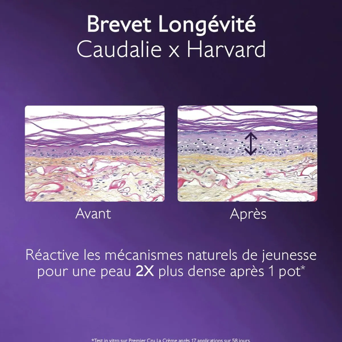 CAUDALIE Rides, Taches, Volume|Anti-Rides, Fermeté^Le Sérum